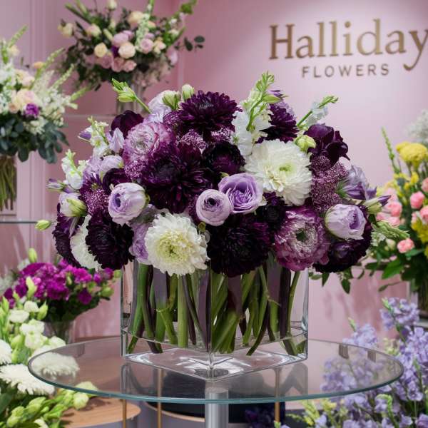 Purple &