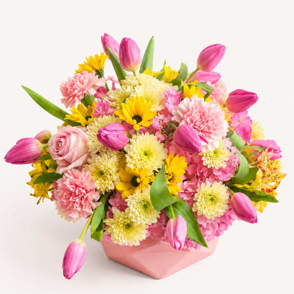 Blush & Bloom