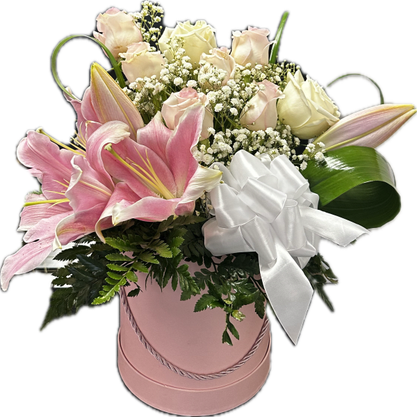 Lily Rose Blush