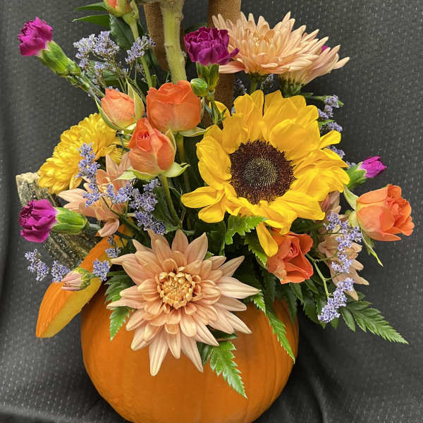 Pumpkin Time