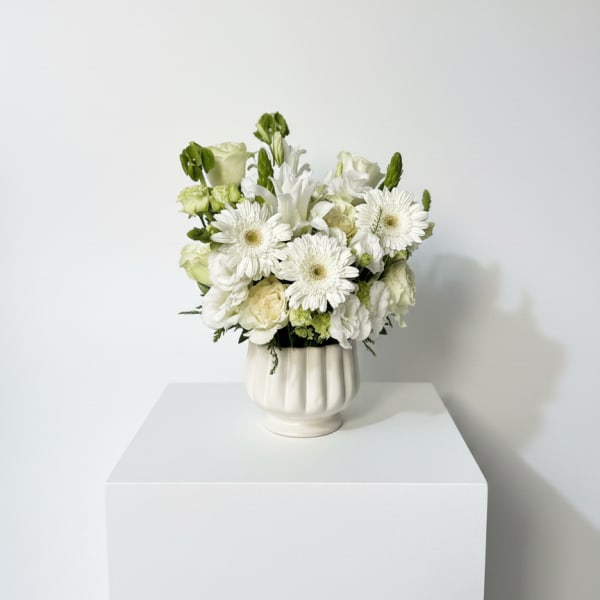 Ivory Calm