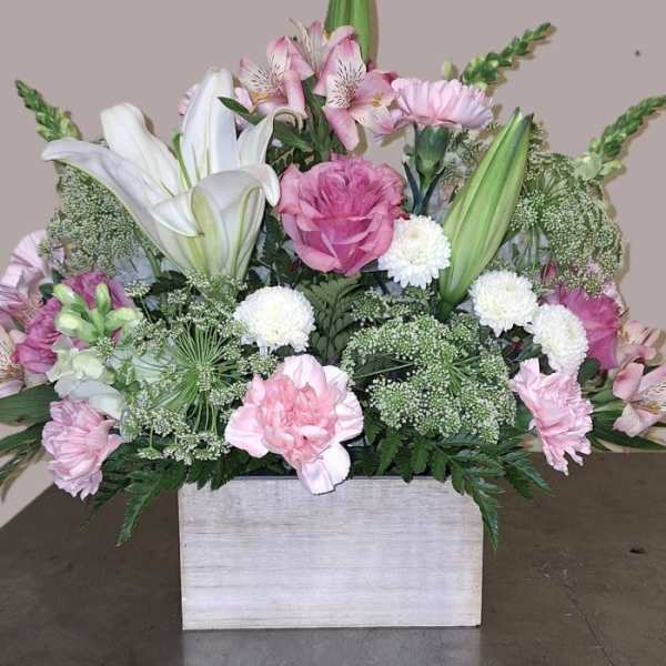Blushing Blooms