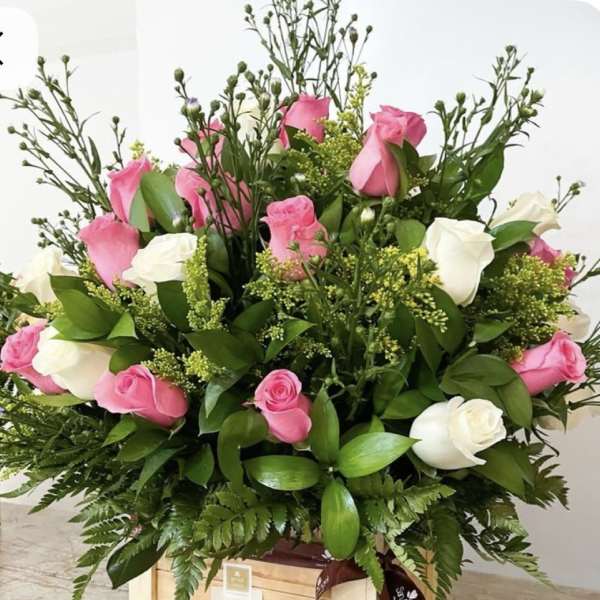 Rosas rosas