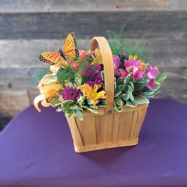Hill Country Monarch Basket