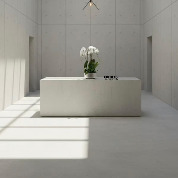 White orchid plant in a pot on a pedestal in a minimalist room
