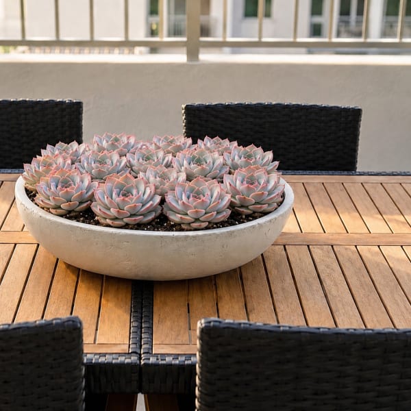 Round planter filled with pale pink succulents on a wooden table