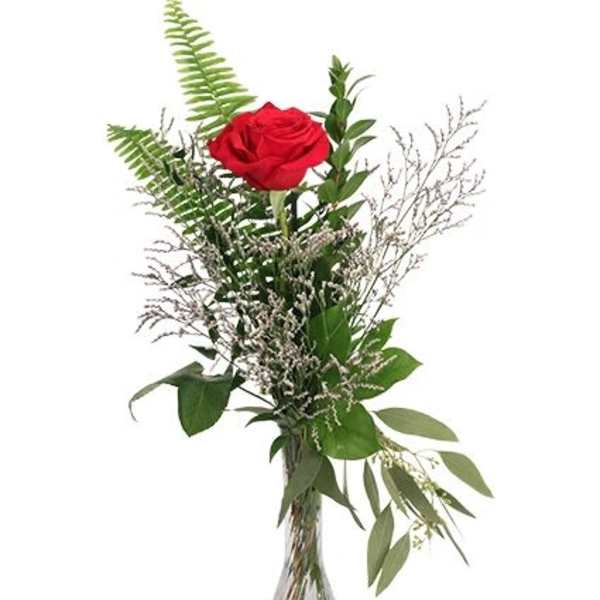 Single red rose in a clear glass vase with mixed greenery