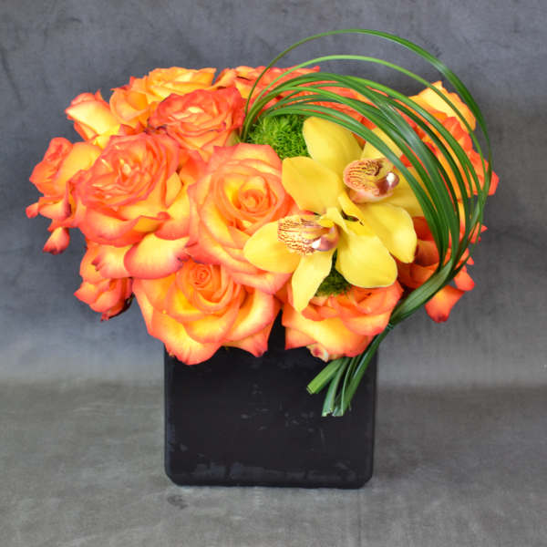 Thinking of you