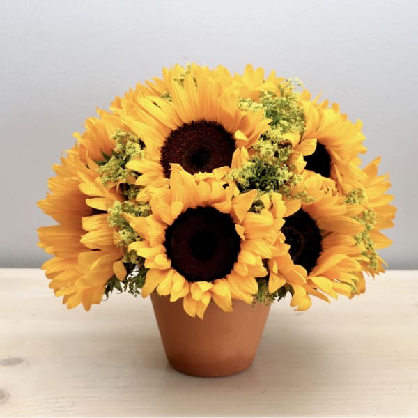 Sunflower bouquet in a brown pot
