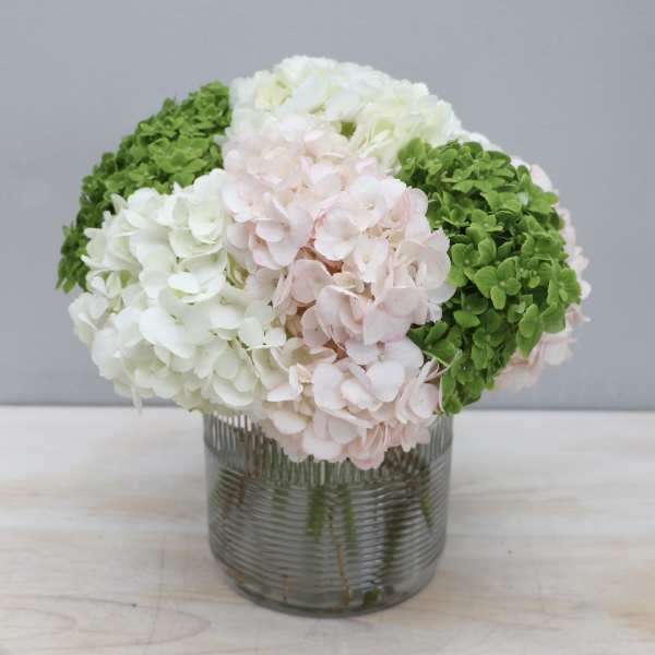 Hydrangea arrangement in a ribbed glass vase with white, blush, and green blooms