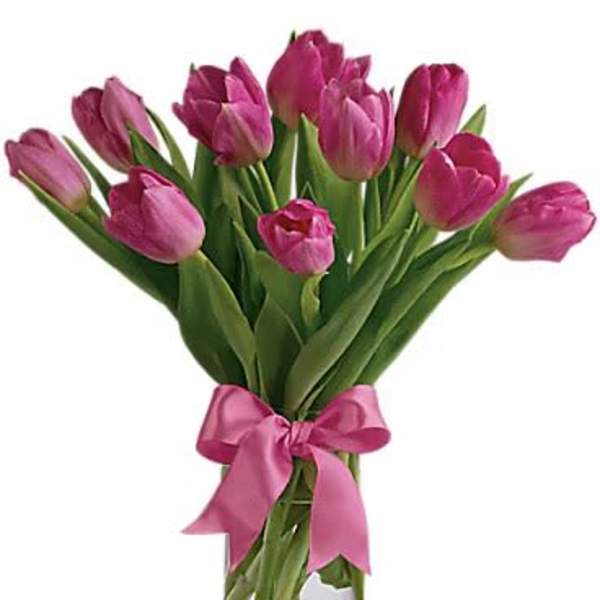 Pink tulip bouquet in a clear glass vase with a pink ribbon