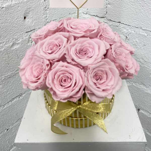 17 Forever Lasting Natural Roses