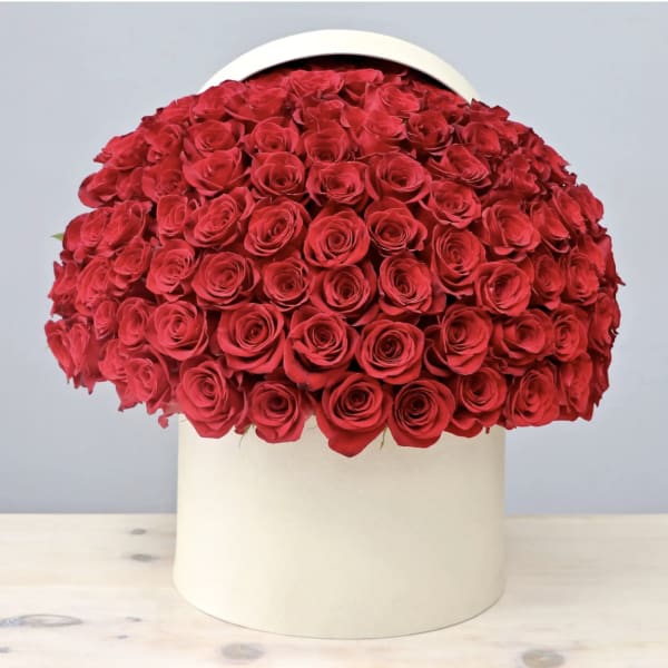 Large dome of red roses in a white hat box