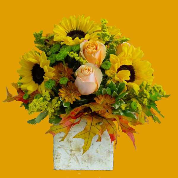 Sunflower and peach rose arrangement in a white birch-style container