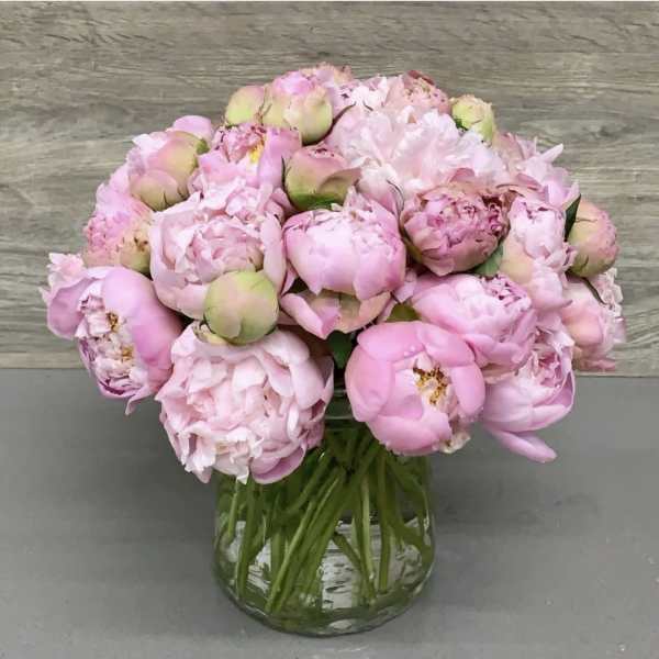 Pink peonies arranged in a clear glass vase