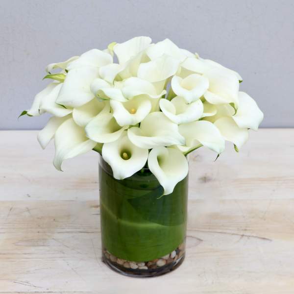 Calla Love - Glendale Flowers