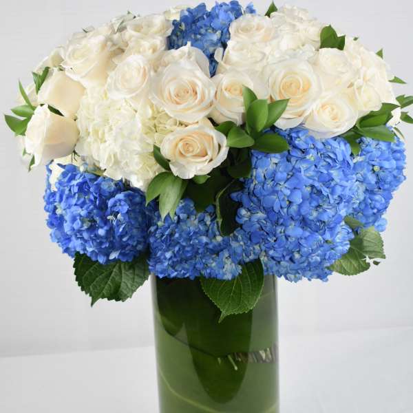 White roses and blue hydrangeas arranged in a tall glass vase
