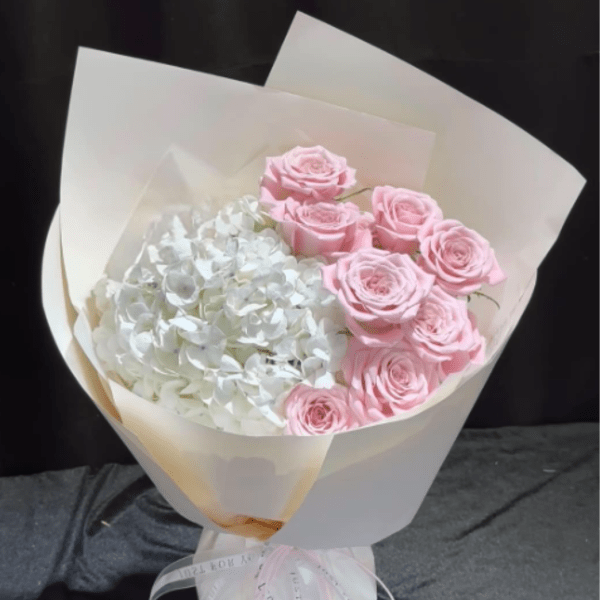 Blushing Cloud Roses