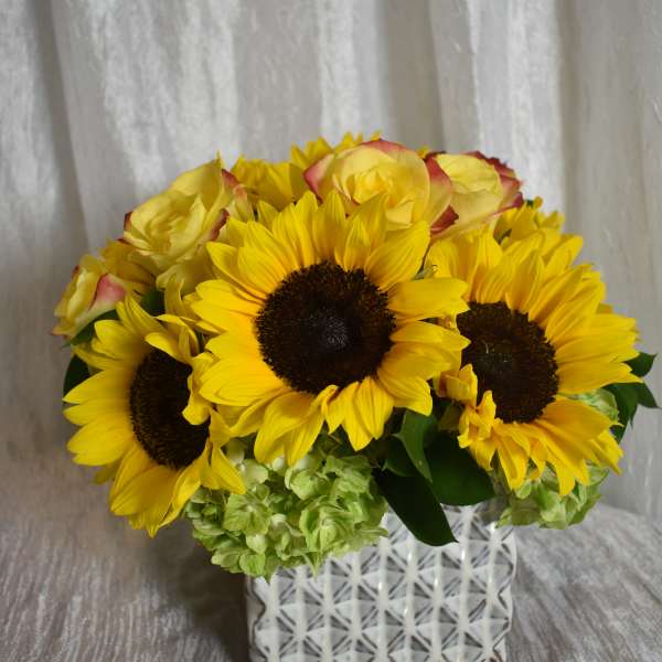 sunflower mix