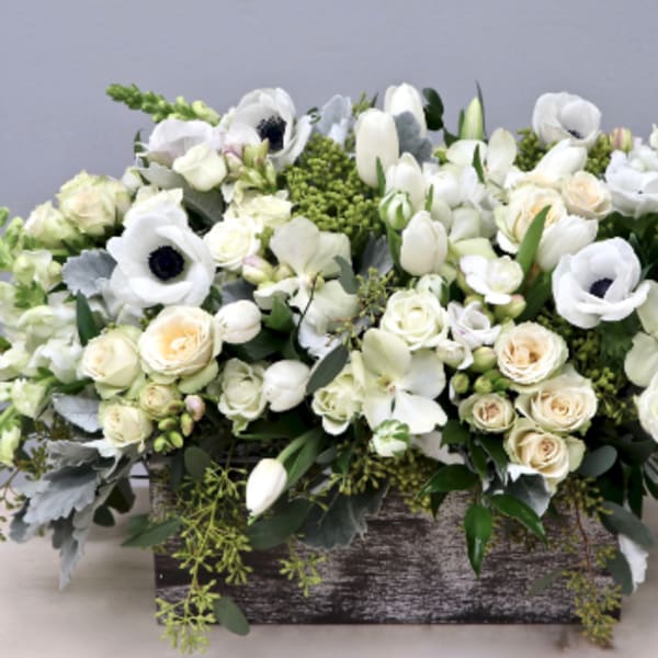 Anemone Box - WeHo