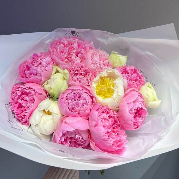 Bouquet of pink and white peonies wrapped in translucent paper