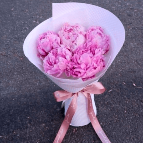 Only Peonies