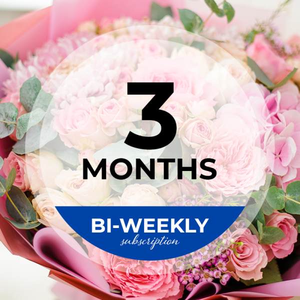 Pink bouquet with roses and hydrangeas, overlaid with a "3 MONTHS BI-WEEKLY subscription" graphic