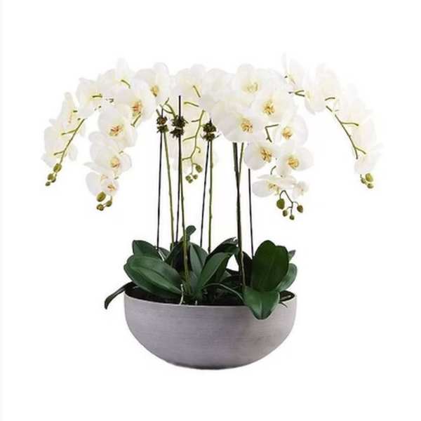 White orchid arrangement in a gray bowl planter