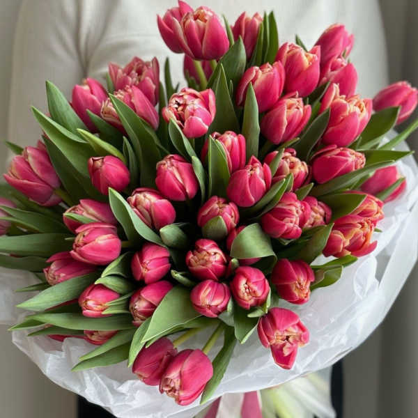 Bouquet of pink tulips wrapped in white paper