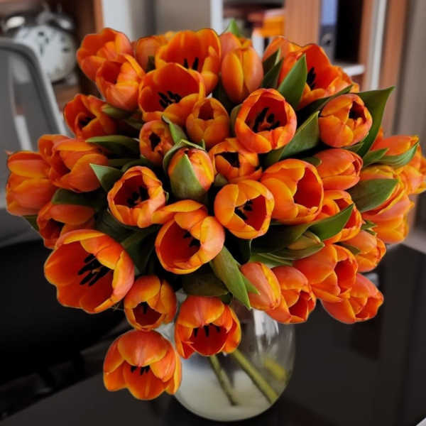 Bouquet of orange tulips in a clear glass vase