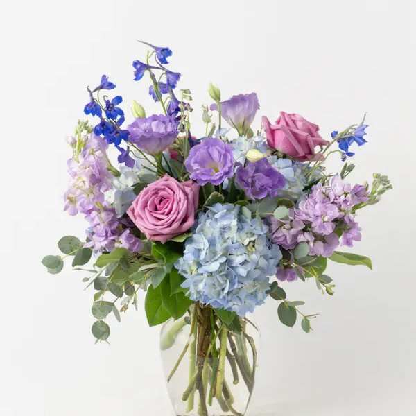 Blue And Violet Arrangement