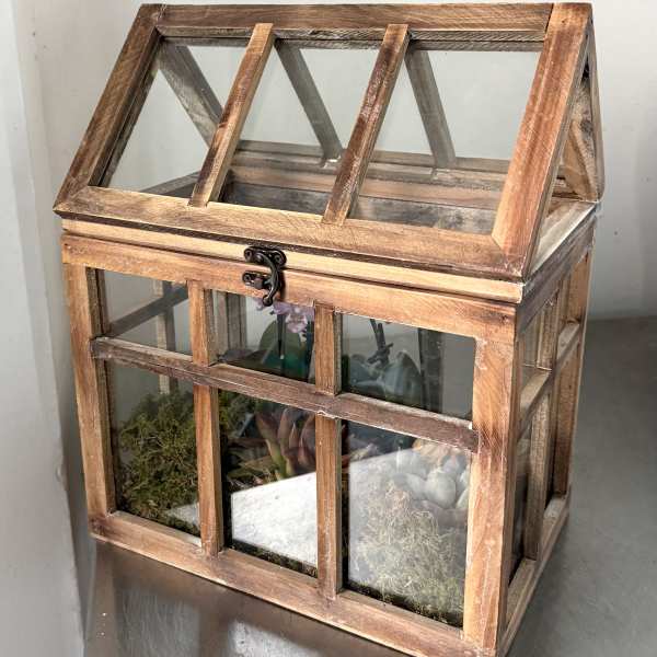 Rustic Orchid & Succulent Glass Greenhouse