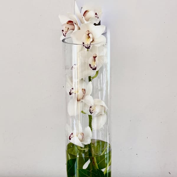 cymbidium orchid in a tall cylinder vase