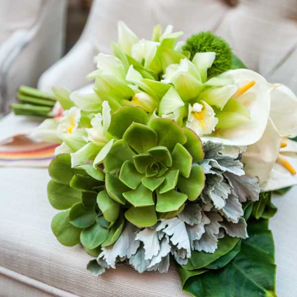 Bouquet of white calla lilies and green succulents with silver foliage