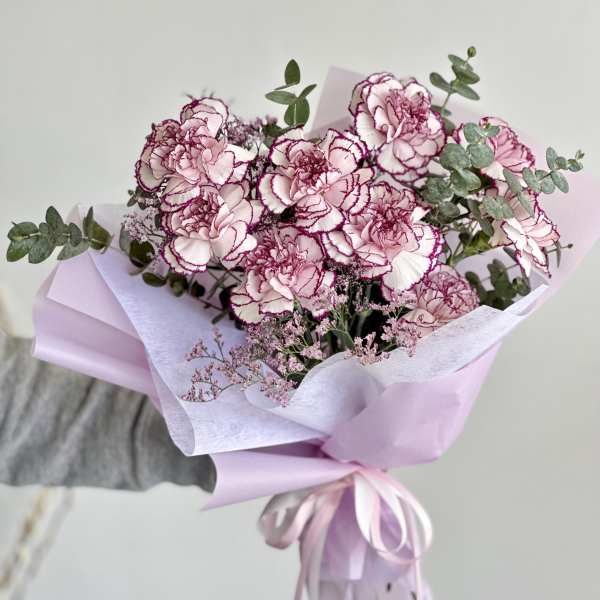 CLAVELES IN PINK BURGUNDY