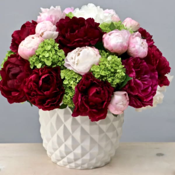 Red and pink peonies with green hydrangeas in a white vase