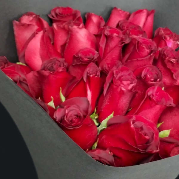 Bouquet of tightly packed red roses wrapped in black paper