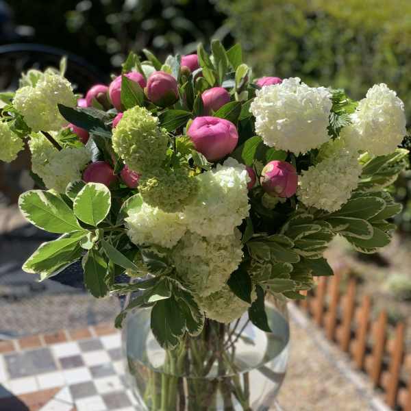 Pink peonies and white hydrangeas in a clear glass vase