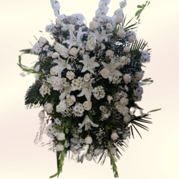 Gladiolas in White