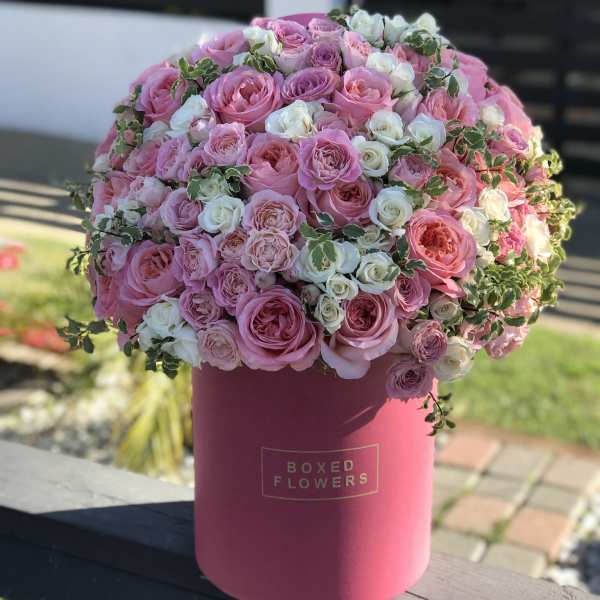 Pink and white roses arranged in a round hatbox