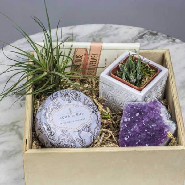 Gift box with a small potted succulent, air plant, candle, and purple crystal