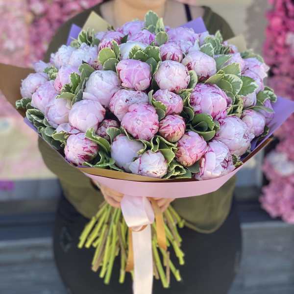 Large bouquet of pink peonies with green foliage and pastel wrapping
