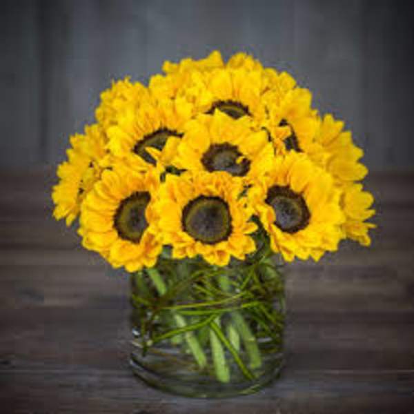 Yellow sunflowers arranged in a clear glass vase