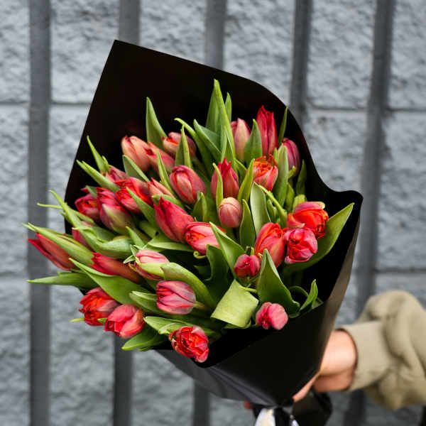 Bouquet of red and pink tulips wrapped in black paper