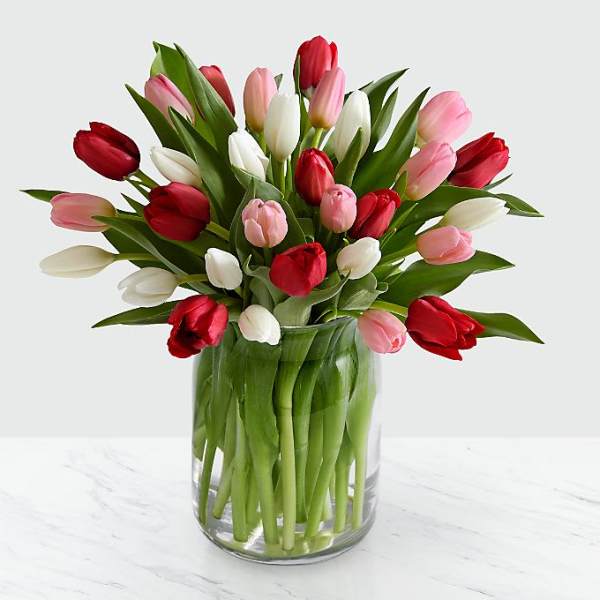 Bouquet of red, pink, and white tulips in a clear glass vase