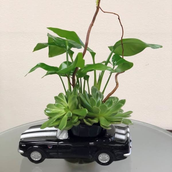 Succulent arrangement in a black car-shaped planter