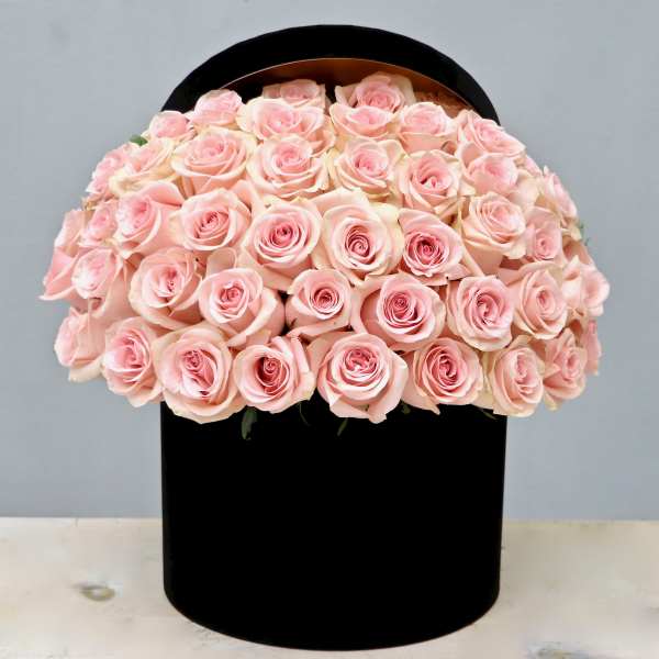 Dome of light pink roses arranged tightly in a round black hatbox-style container