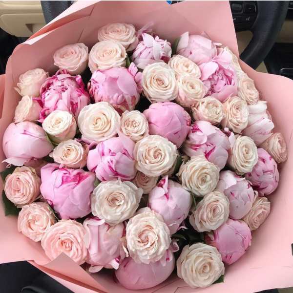 Bouquet of pale pink and cream roses wrapped in pink paper