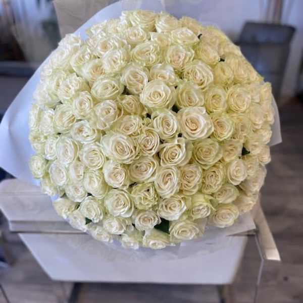 Large bouquet of cream-white roses wrapped in white paper