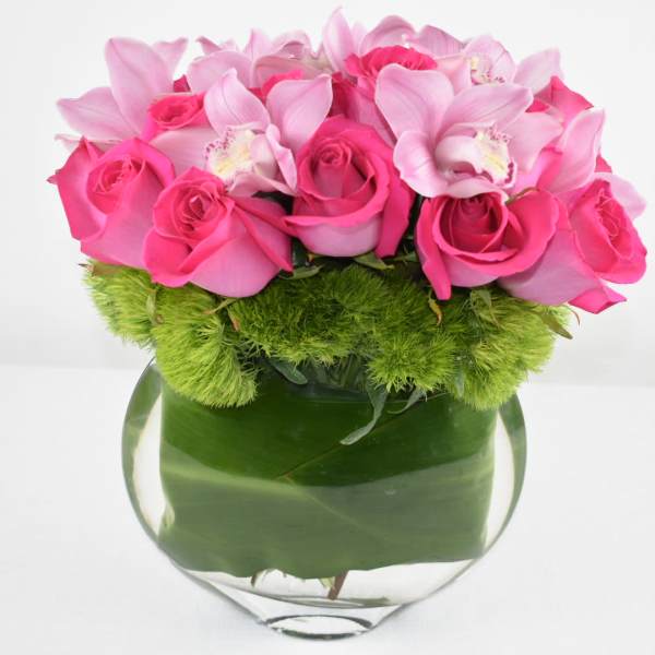 Pink Roses